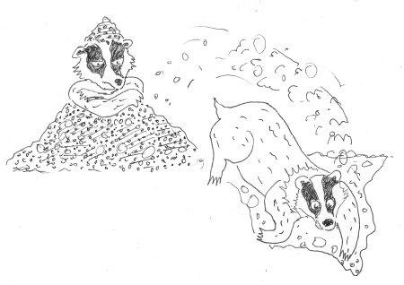 Badgers super powers page_crop_450
