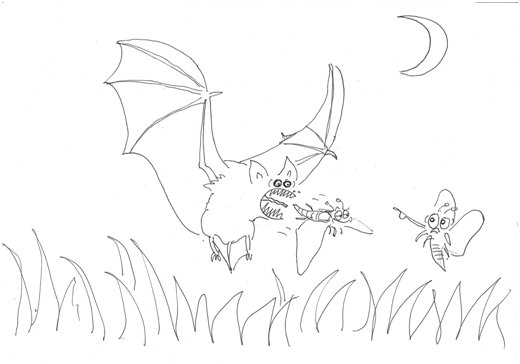 Bats who eats who page_Nikki